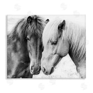 Sisi and Seb | Horse Love Duo Portrait