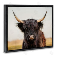 Dakota Diener | Black Highland Cow Portrait