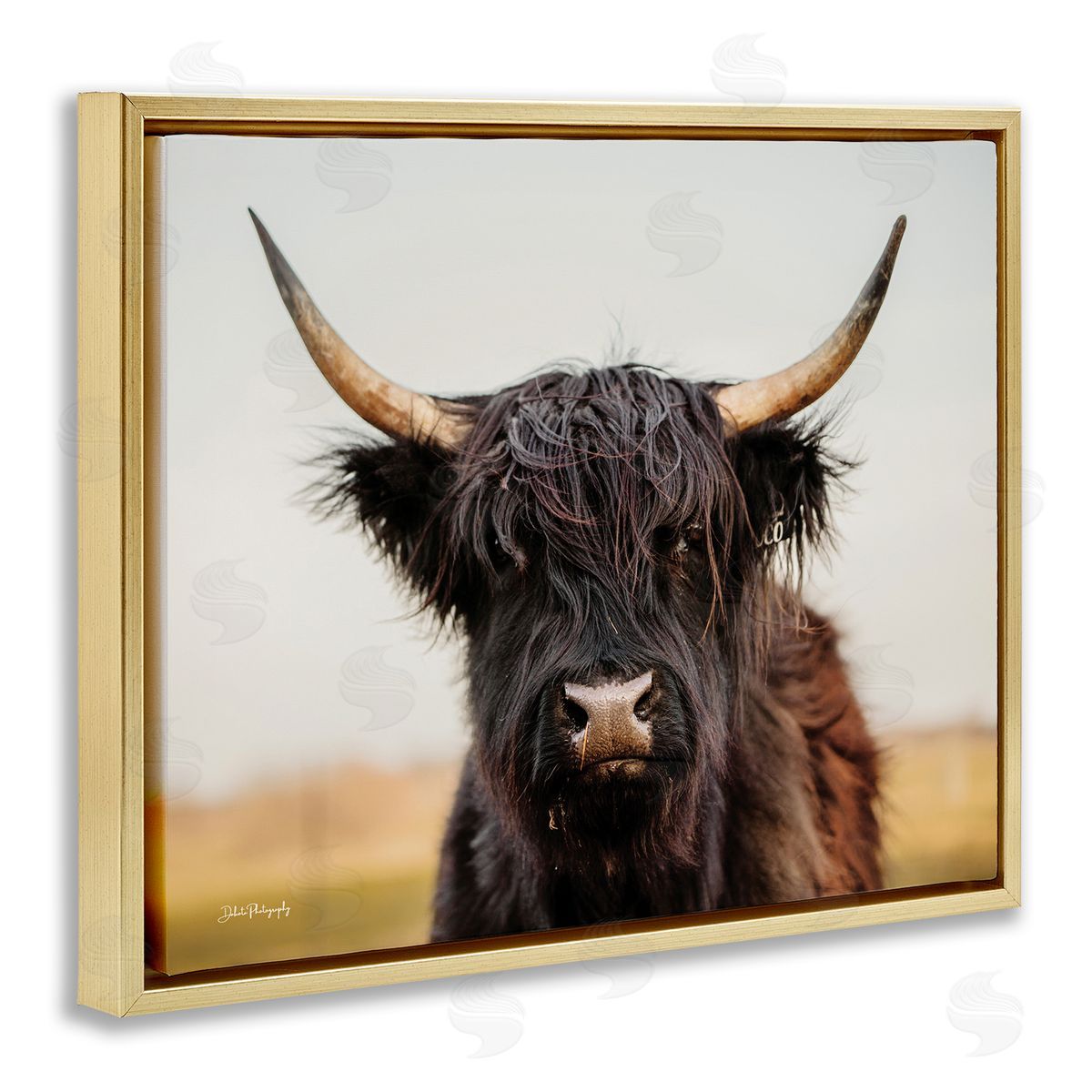 Black Highland Cow Portrait Gold Floating Frame Canvas Wall Art, Home Decor by Dakota Diener