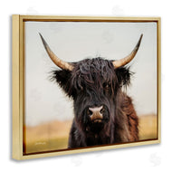 Dakota Diener | Black Highland Cow Portrait