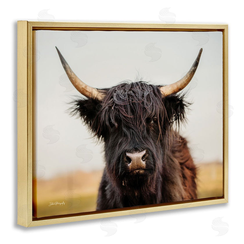 Dakota Diener | Black Highland Cow Portrait