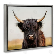 Dakota Diener | Black Highland Cow Portrait