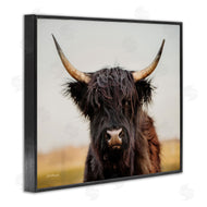 Dakota Diener | Black Highland Cow Portrait