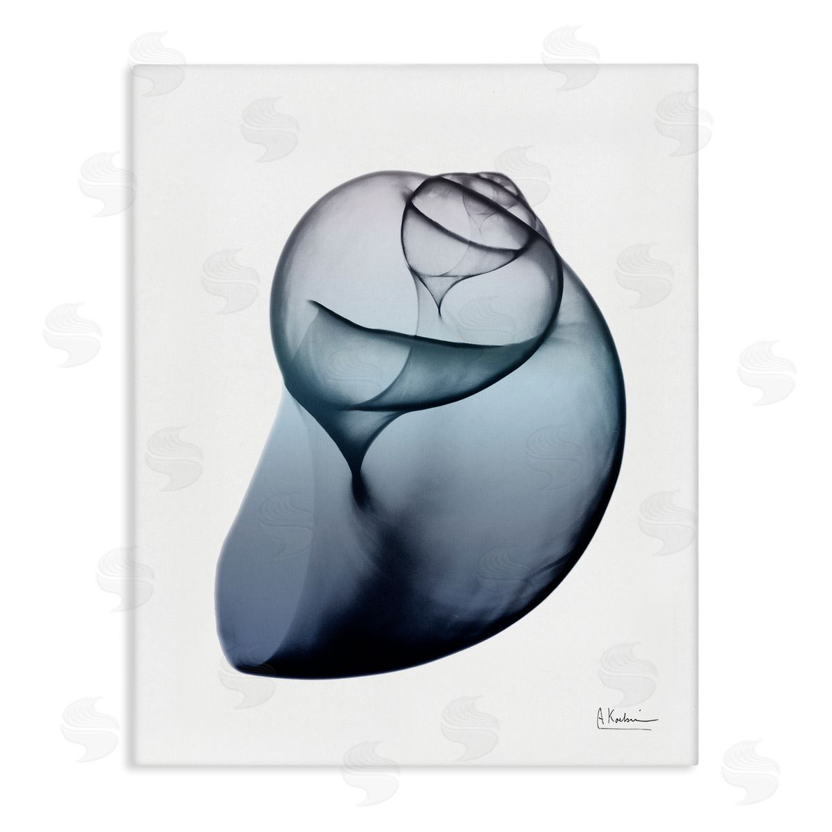 Contemporary Snail Shell Canvas Wall Art, Home Decor by Albert Koetsier