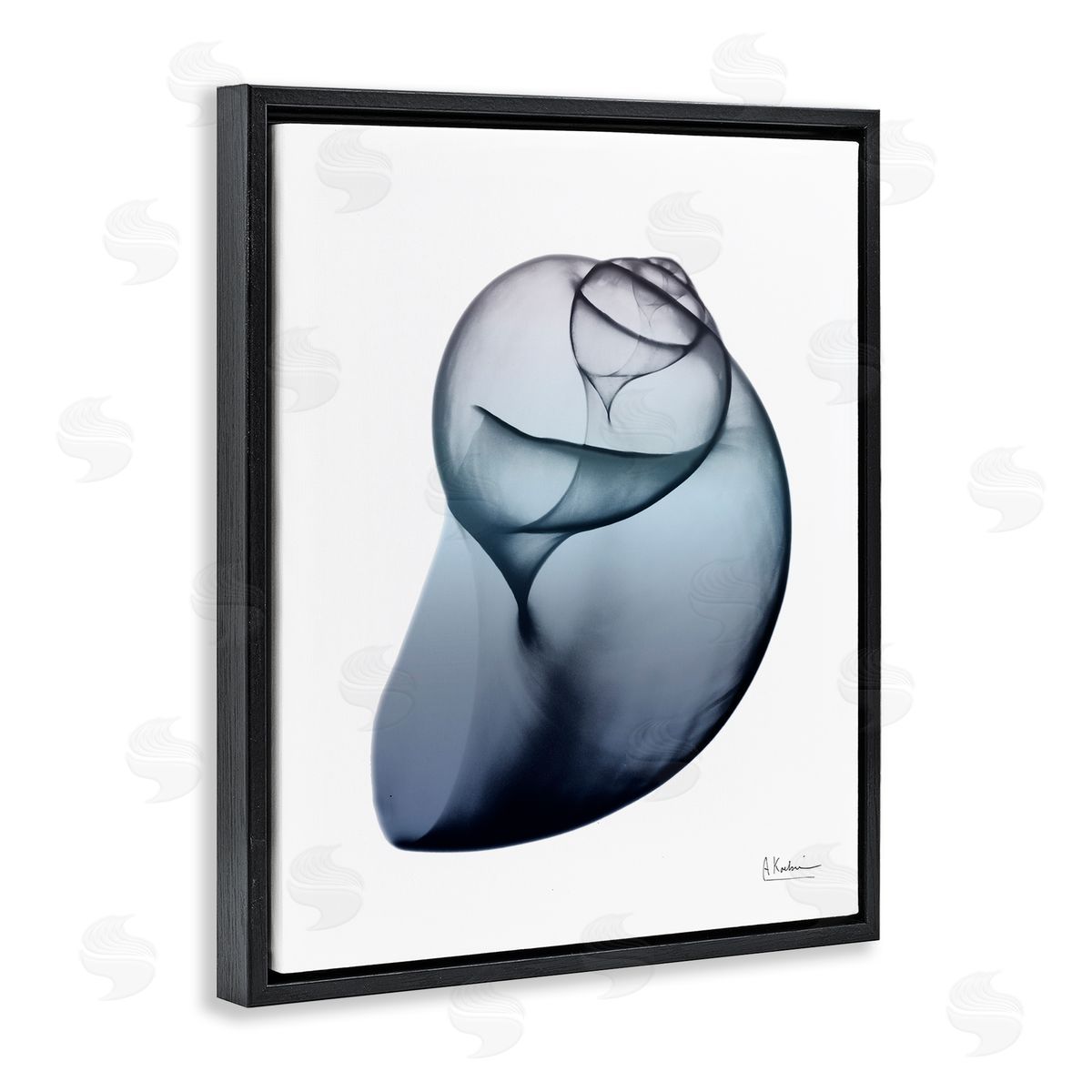 Contemporary Snail Shell Black Floating Frame Canvas Wall Art, Home Decor by Albert Koetsier