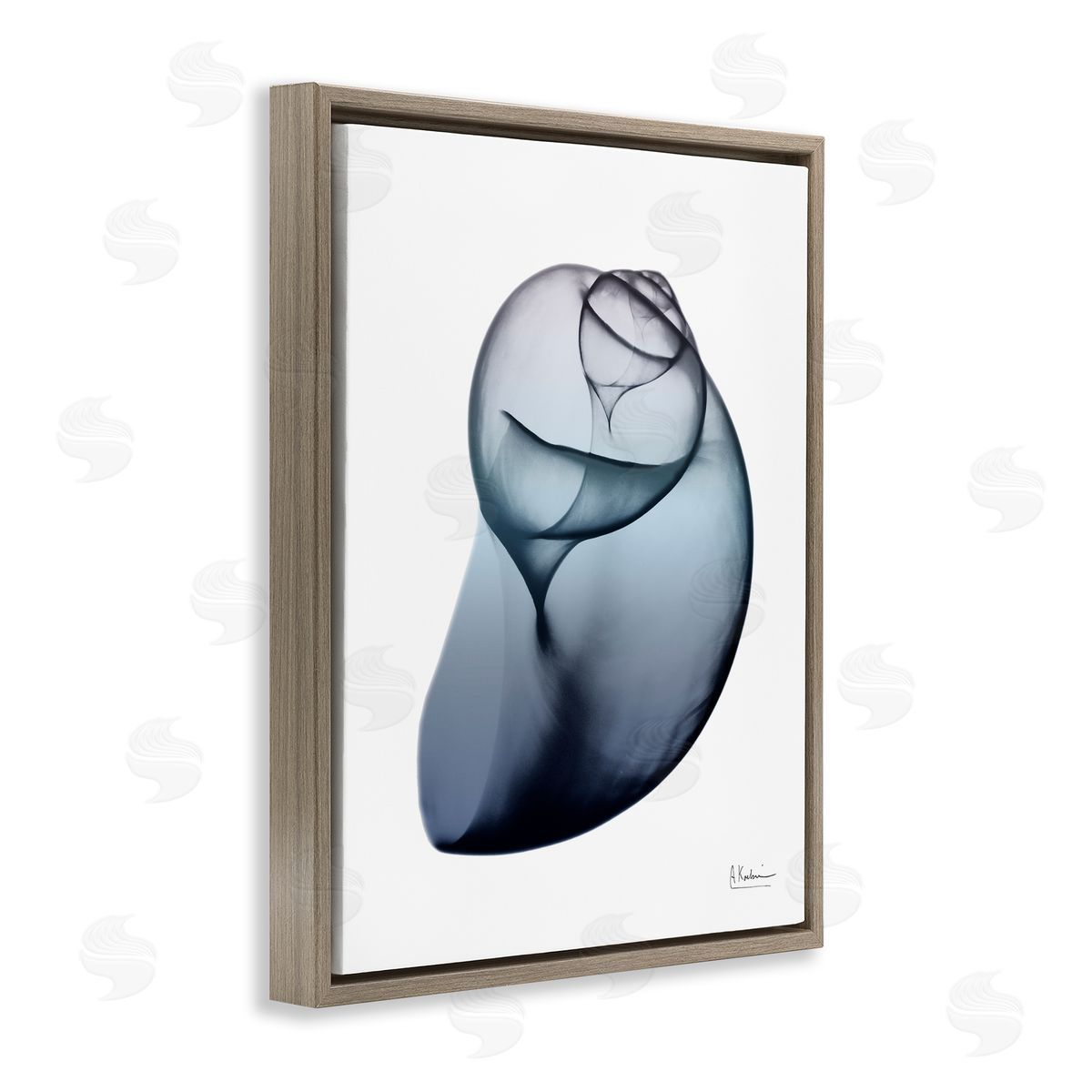 Contemporary Snail Shell Brown Floating Frame Canvas Wall Art, Home Decor by Albert Koetsier