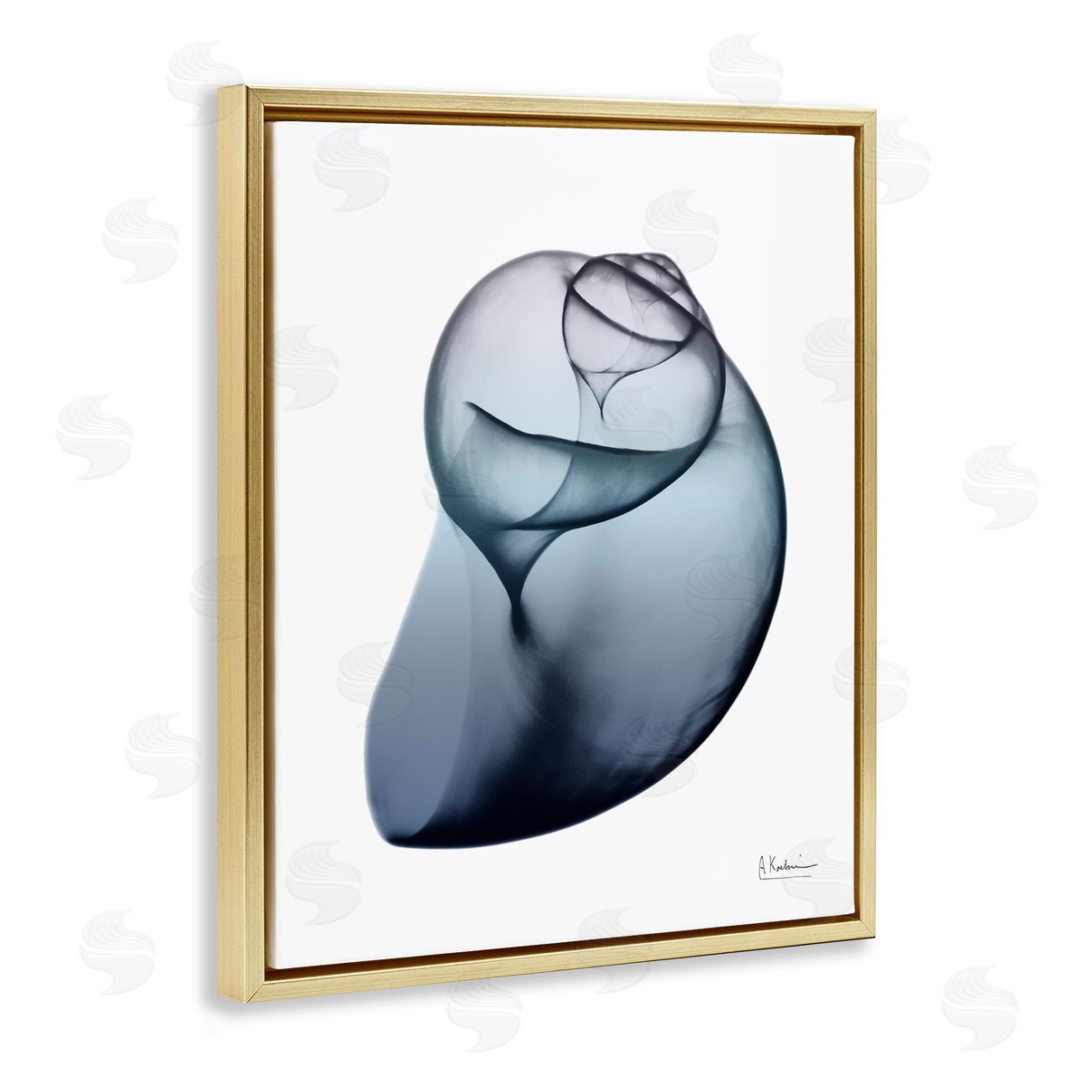 Contemporary Snail Shell Gold Floating Frame Canvas Wall Art, Home Decor by Albert Koetsier