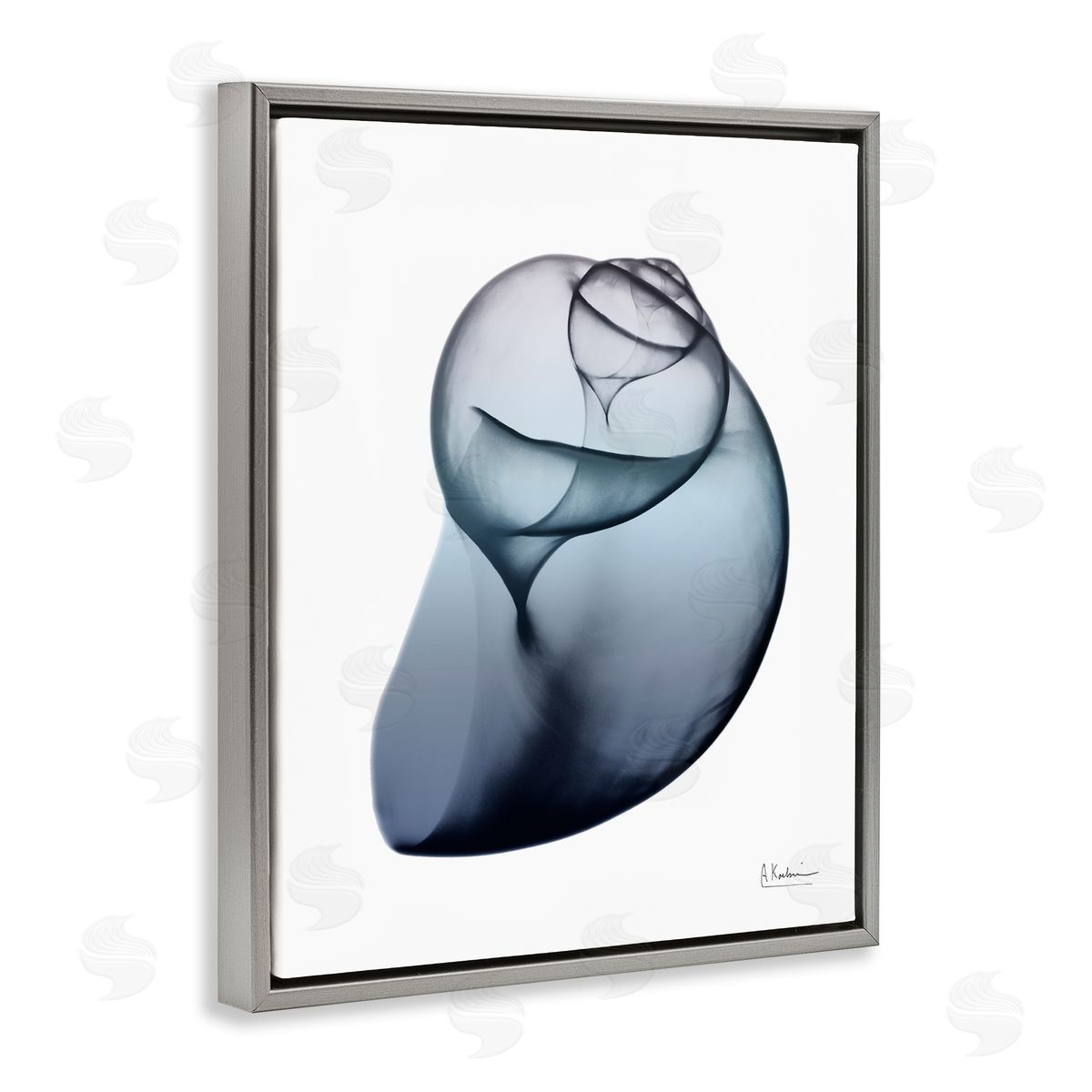 Contemporary Snail Shell Grey Floating Frame Canvas Wall Art, Home Decor by Albert Koetsier