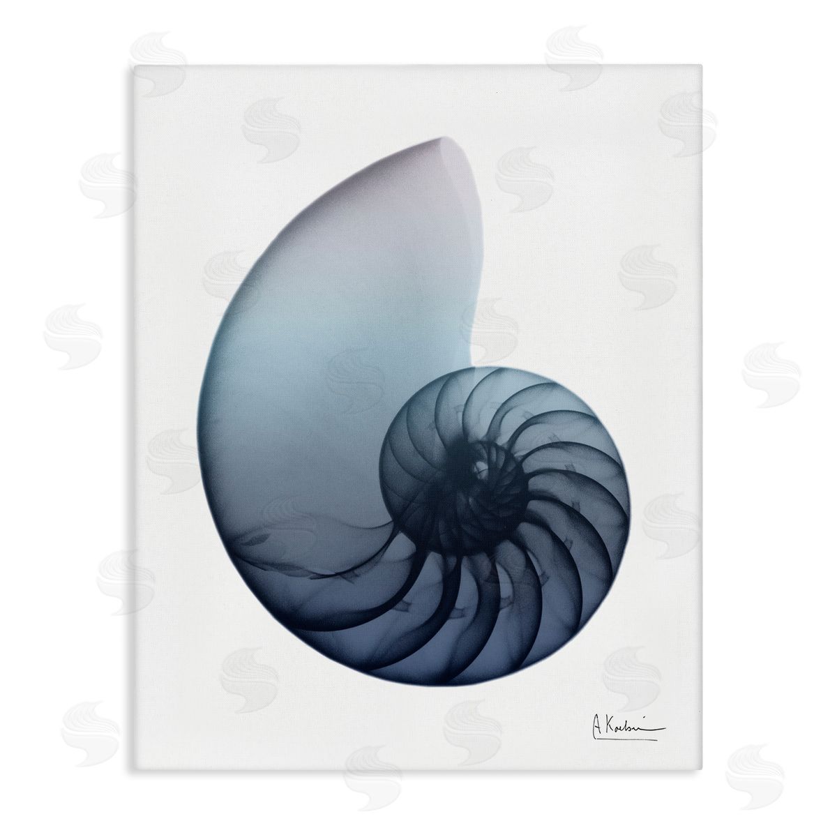 Contemporary Nautilus Shell Canvas Wall Art, Home Decor by Albert Koetsier