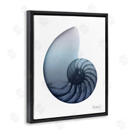 Albert Koetsier | Contemporary Nautilus Shell