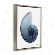 Albert Koetsier | Contemporary Nautilus Shell