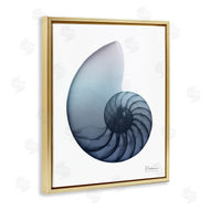 Albert Koetsier | Contemporary Nautilus Shell