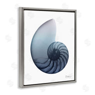 Albert Koetsier | Contemporary Nautilus Shell