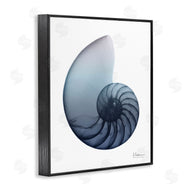Albert Koetsier | Contemporary Nautilus Shell