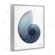Albert Koetsier | Contemporary Nautilus Shell