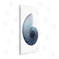 Albert Koetsier | Contemporary Nautilus Shell
