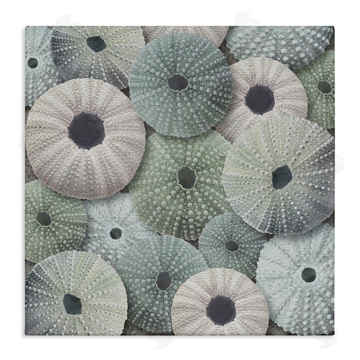 LSR Design Studio Abstract Sea Urchins Stretched Canvas Wall Art Print
