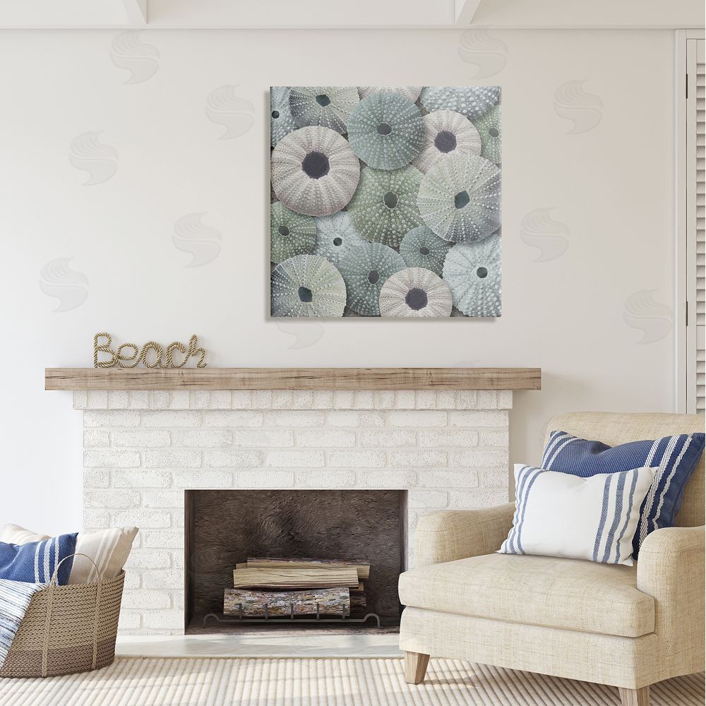 LSR Design Studio Abstract Sea Urchins Canvas Wall Art in Room
