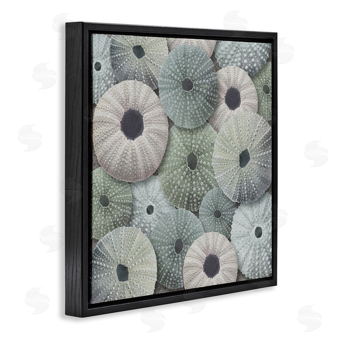 LSR Design Studio Abstract Sea Urchins Black Floating Frame Canvas Wall Art Print