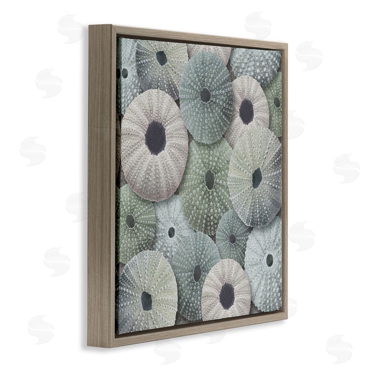 LSR Design Studio Abstract Sea Urchins Brown Floating Frame Canvas Wall Art Print