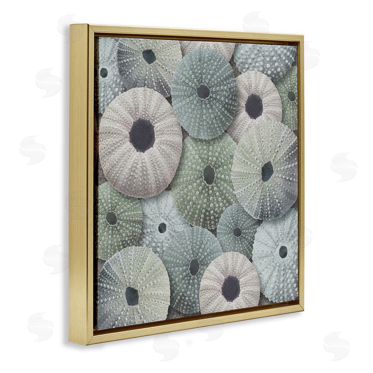 LSR Design Studio Abstract Sea Urchins Gold Floating Frame Canvas Wall Art Print