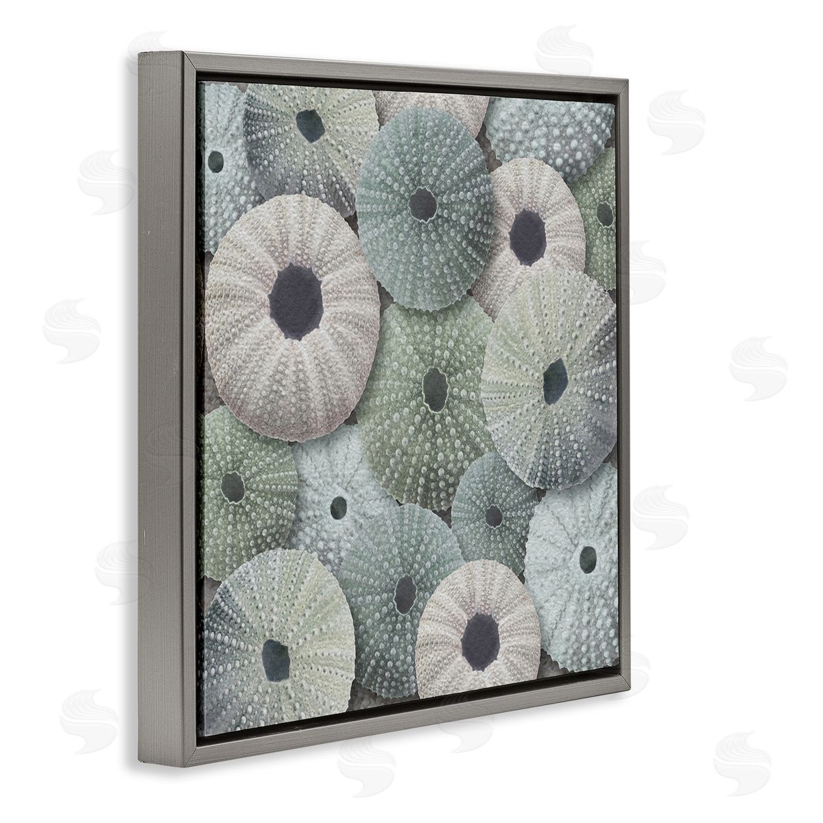LSR Design Studio Abstract Sea Urchins Gray Floating Frame Canvas Wall Art Print