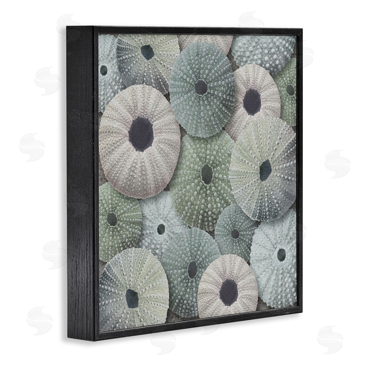 LSR Design Studio Abstract Sea Urchins Black Framed Glicee Wall Art Print
