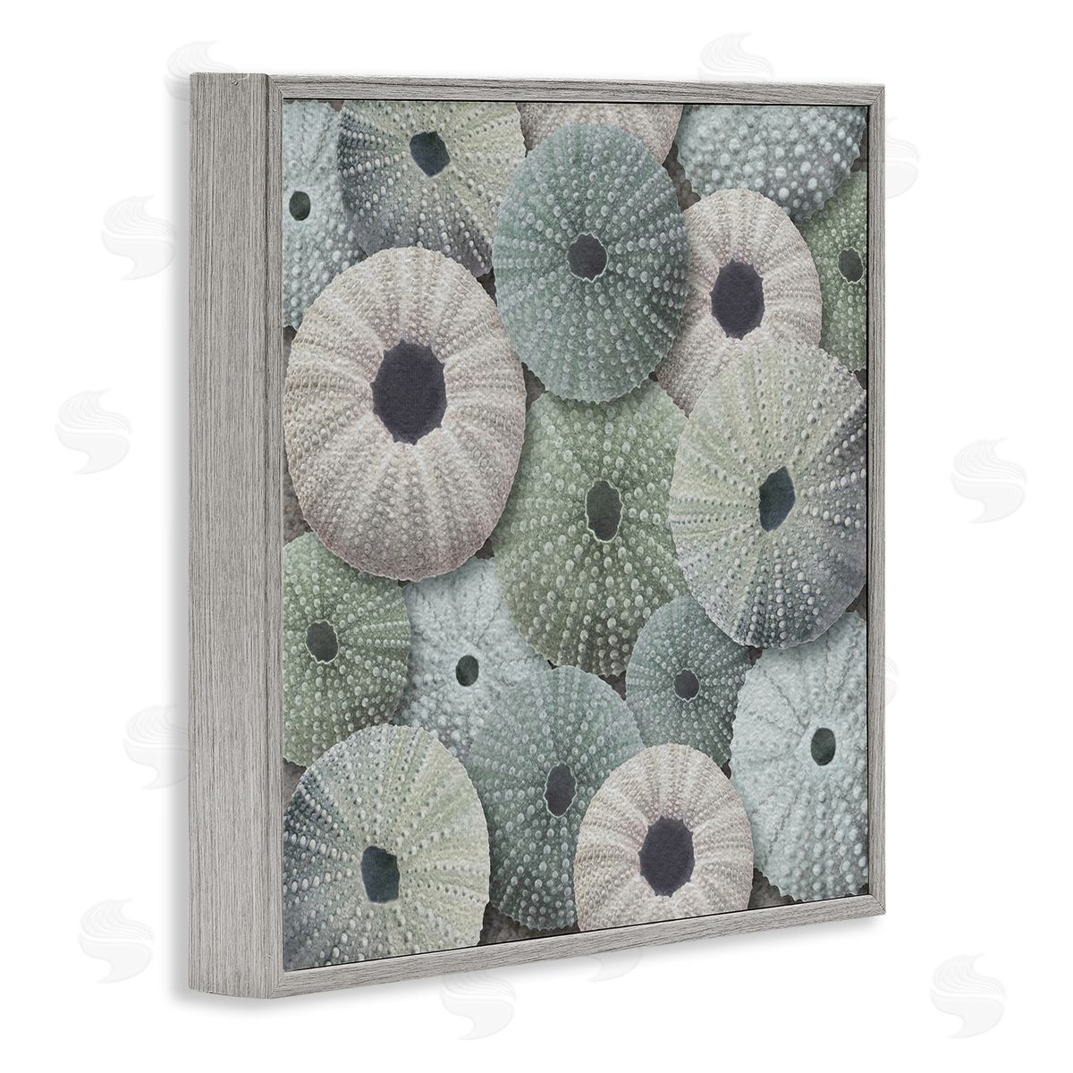 LSR Design Studio Abstract Sea Urchins Gray Framed Glicee Wall Art Print