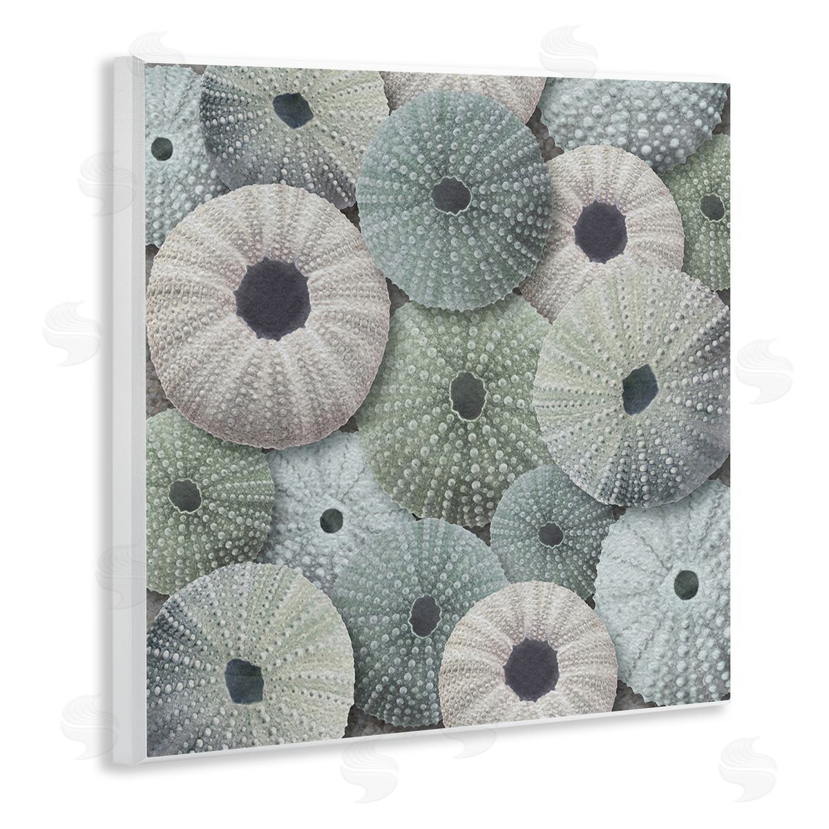 LSR Design Studio Abstract Sea Urchins Wooden Wall Plaque Art Print