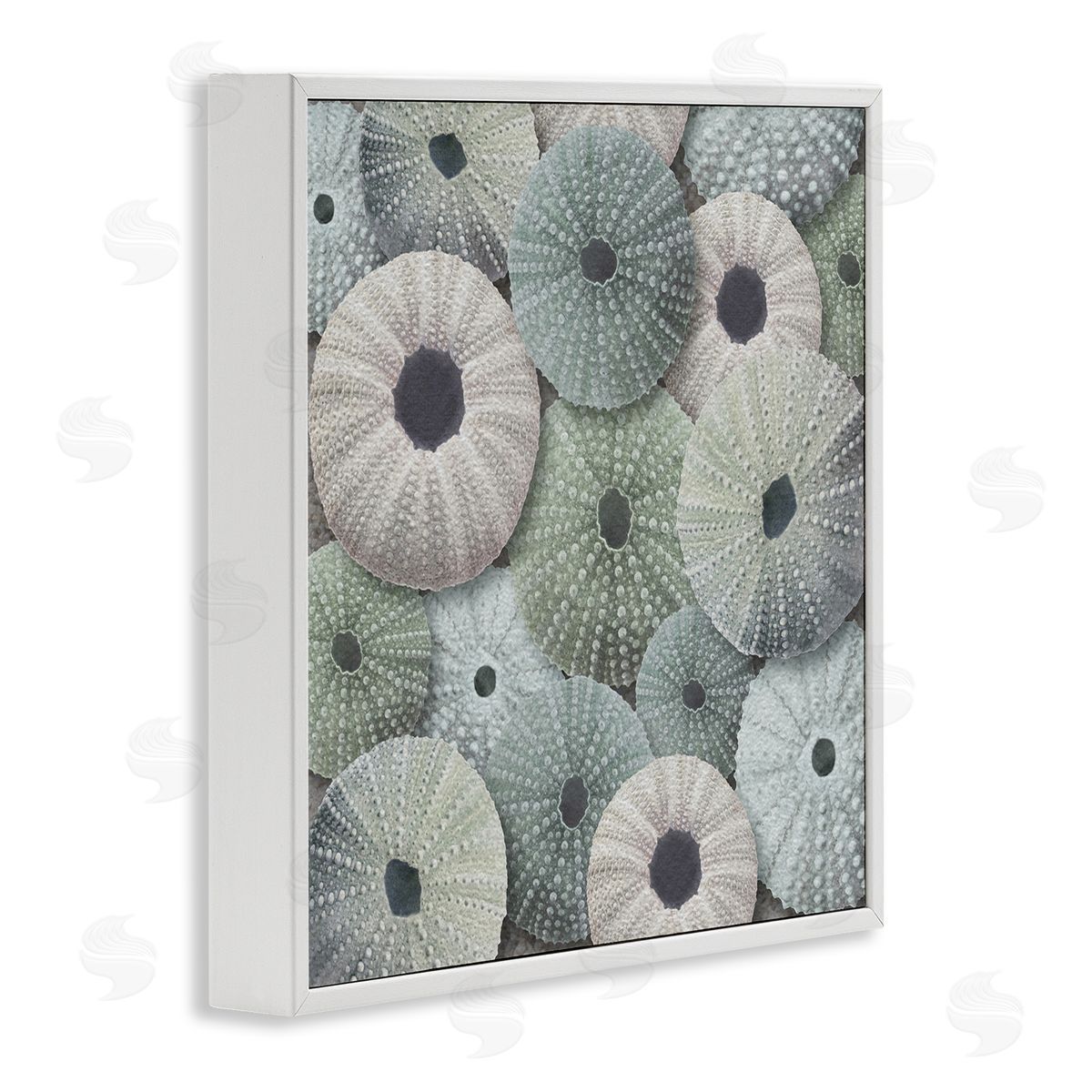 LSR Design Studio Abstract Sea Urchins White Framed Glicee Wall Art Print