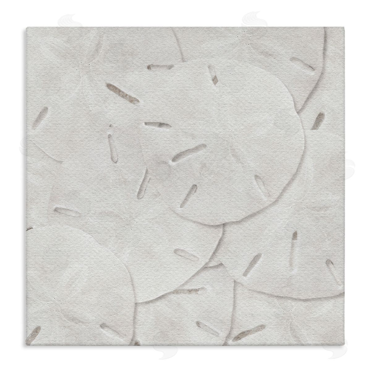 LSR Design Studio Nautical Sand Dollars Stretched Canvas Wall Art Print