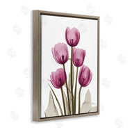 Albert Koetsier | Pink X-Ray Tulips