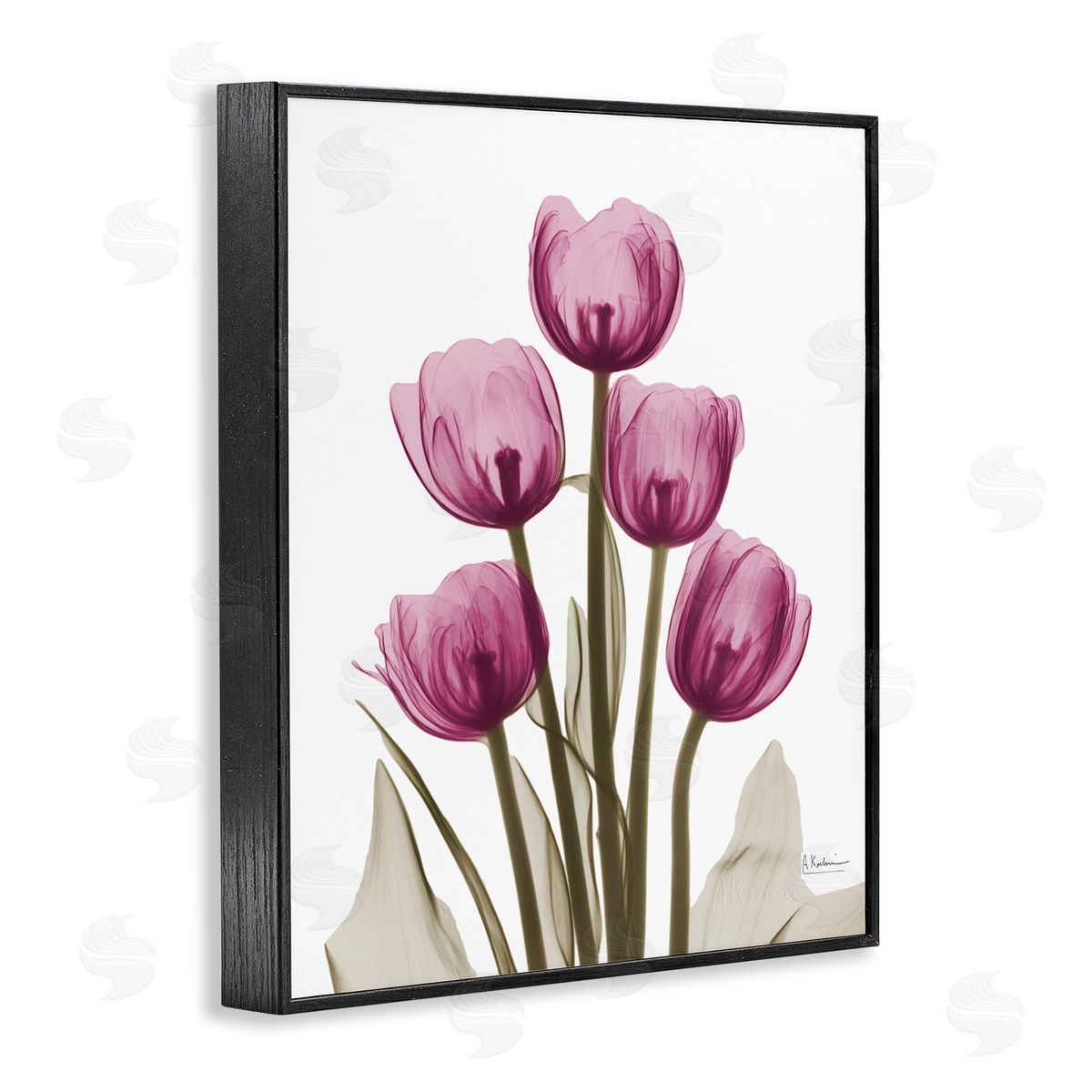 Pink X-Ray Tulips Black Frame Print Wall Art, Home Decor by Albert Koetsier