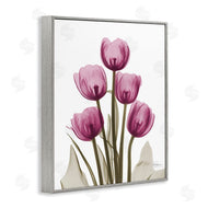 Albert Koetsier | Pink X-Ray Tulips