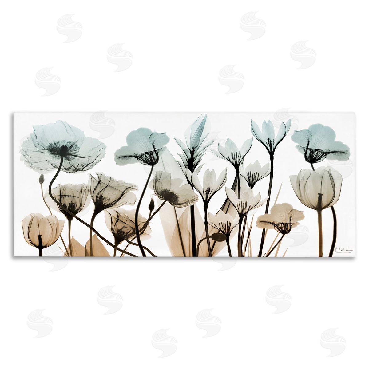 Mixed Transparent Flowers Canvas Wall Art, Home Decor by Albert Koetsier