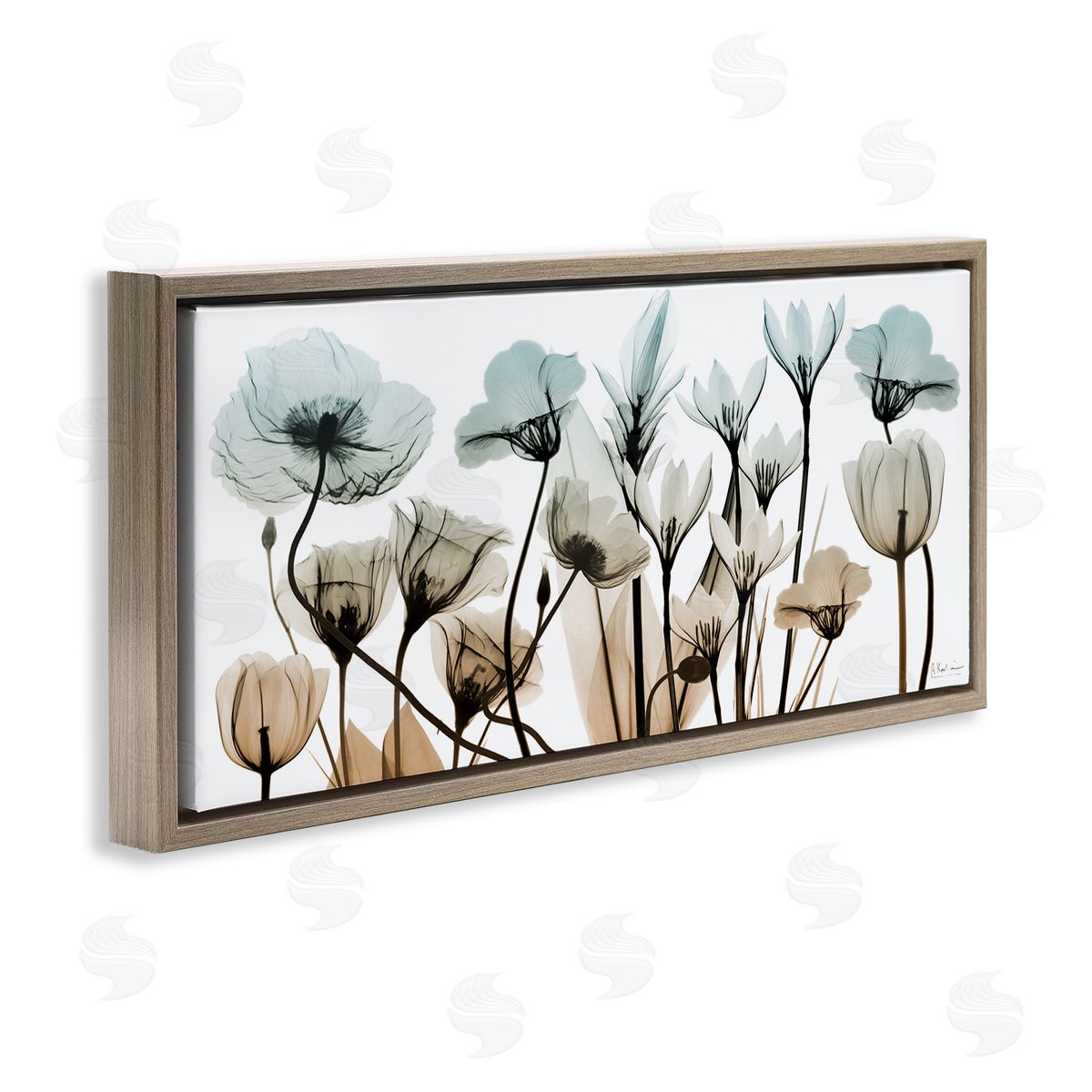 Mixed Transparent Flowers Brown Floating Frame Canvas Wall Art, Home Decor by Albert Koetsier