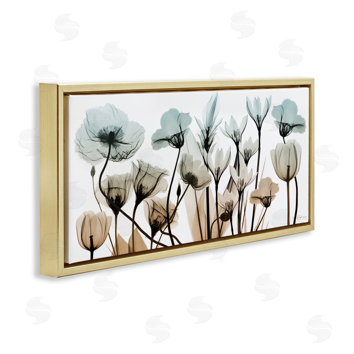 Mixed Transparent Flowers Gold Floating Frame Canvas Wall Art, Home Decor by Albert Koetsier