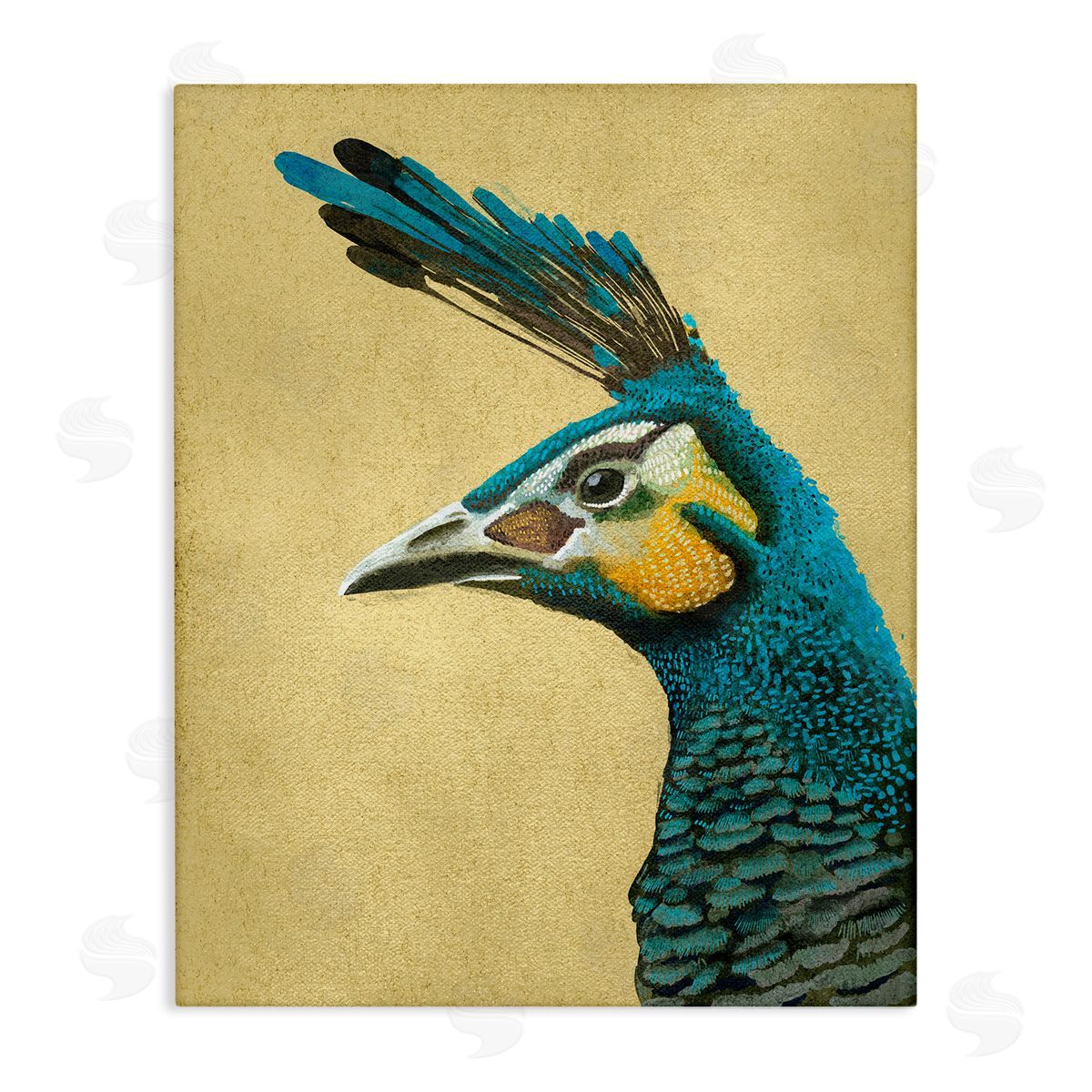 Katie O'Shea Peacock Looking Left Canvas Wall Art