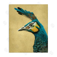 Katie O'Shea | Peacock Looking Left