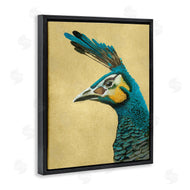 Katie O'Shea | Peacock Looking Left
