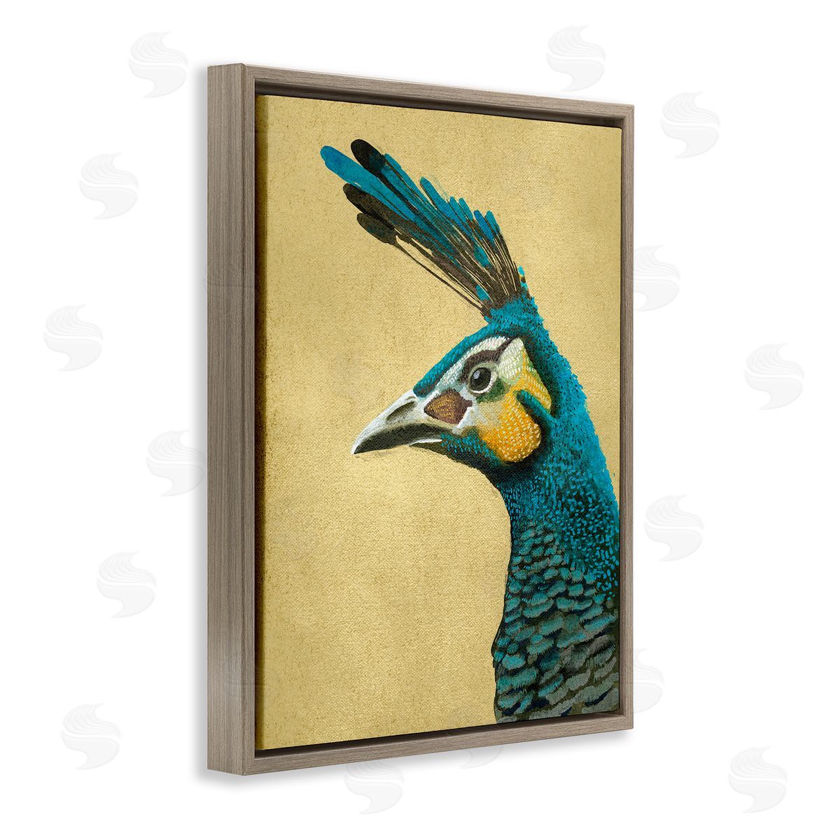 Katie O'Shea | Peacock Looking Left