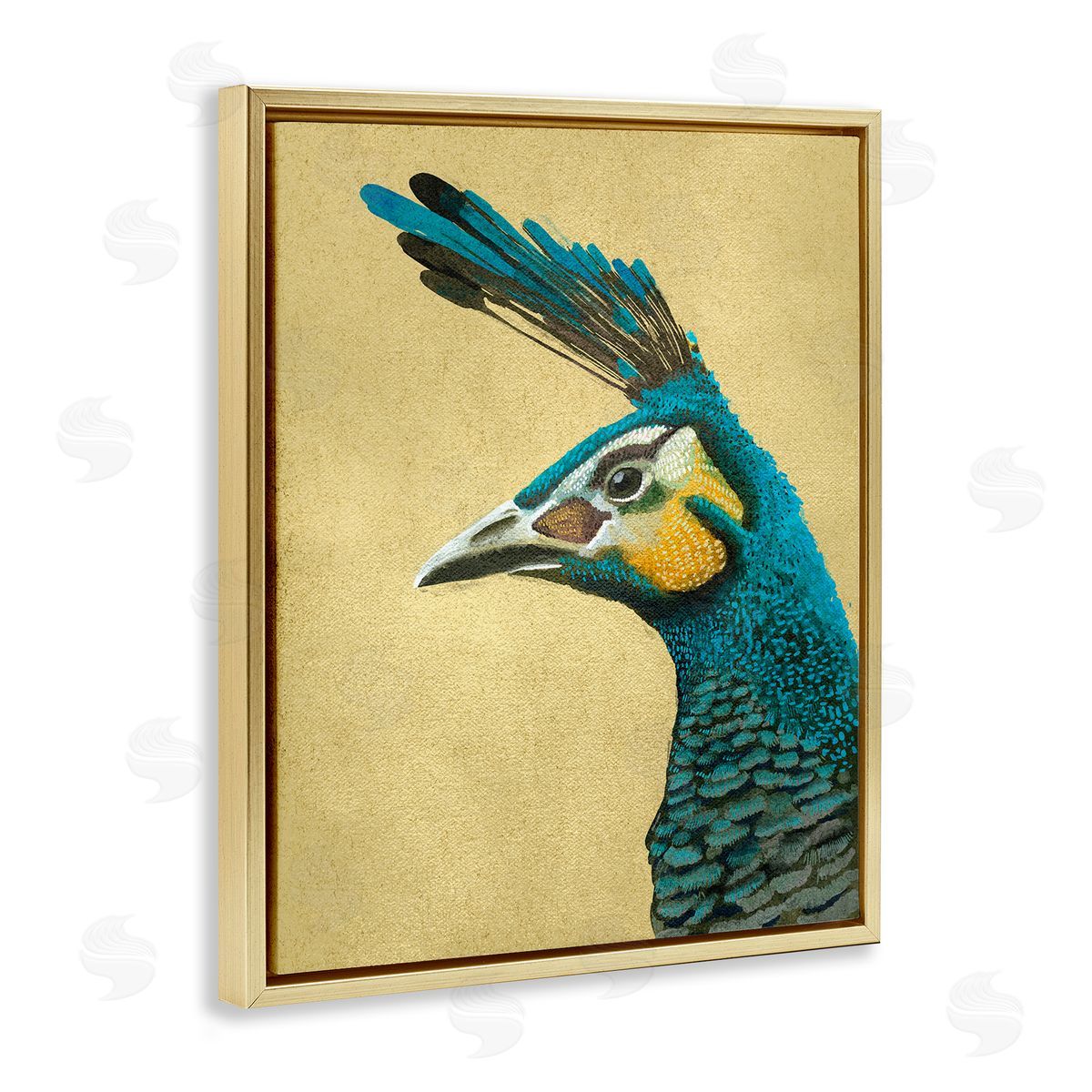Katie O'Shea Peacock Looking Left Gold Floater Frame Canvas Artside_