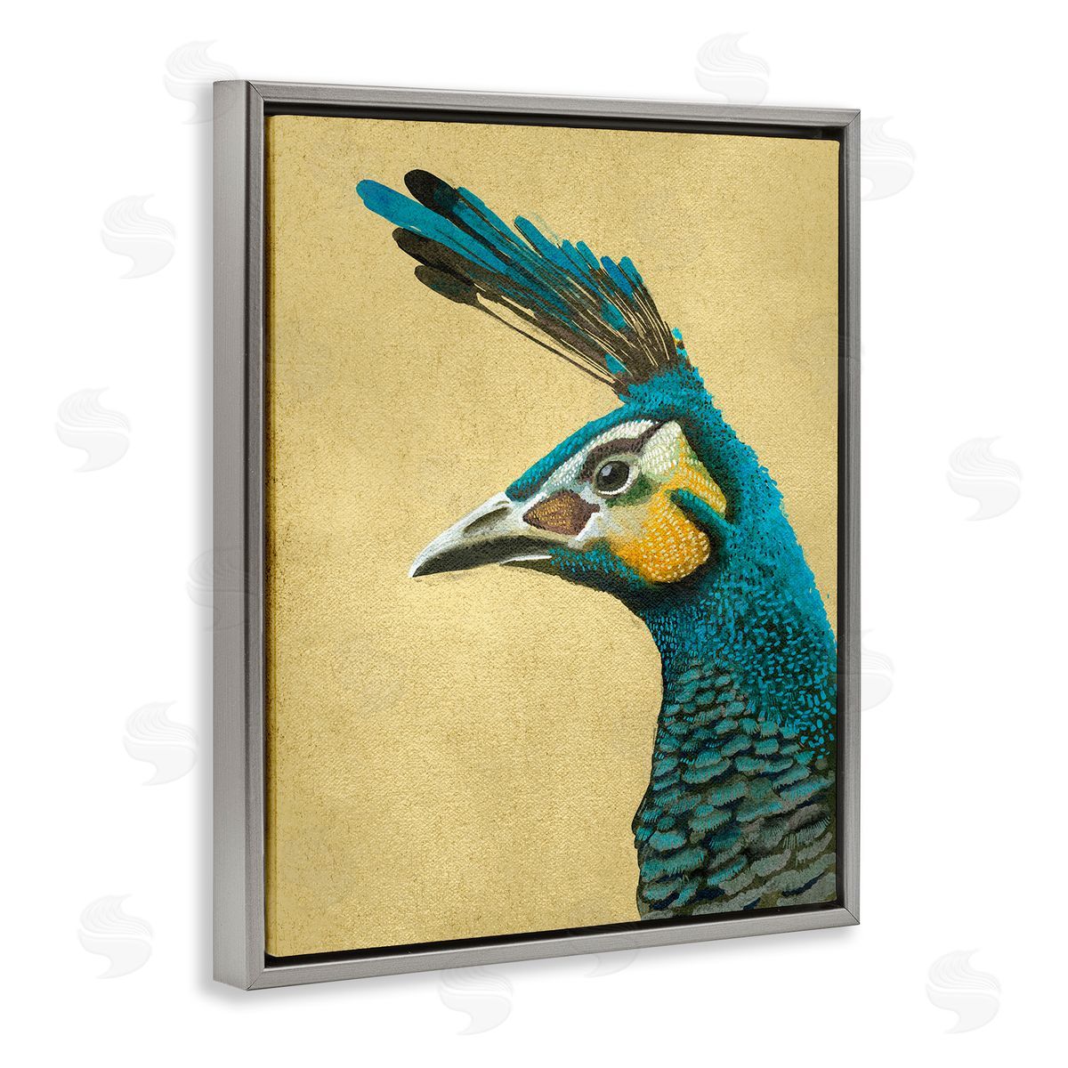 Katie O'Shea Peacock Looking Left Gray Floater Frame Canvas Artside_