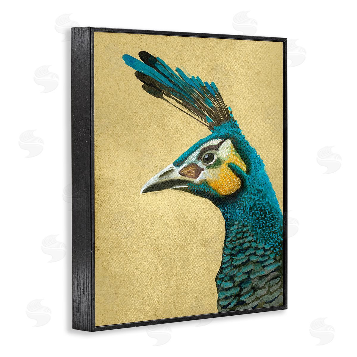 Katie O'Shea | Peacock Looking Left