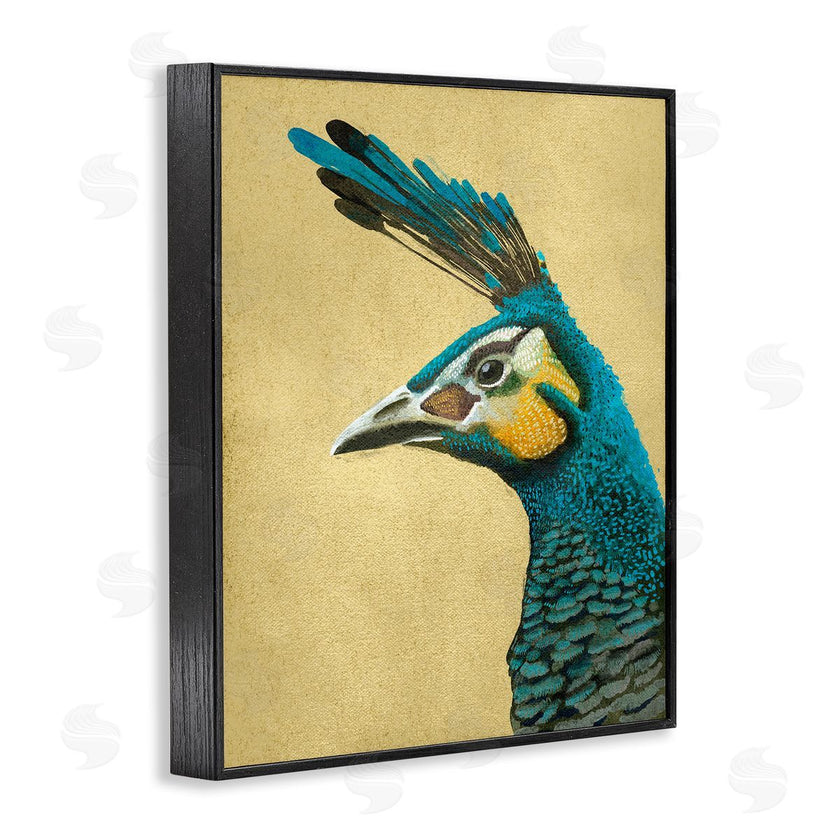 Katie O'Shea | Peacock Looking Left