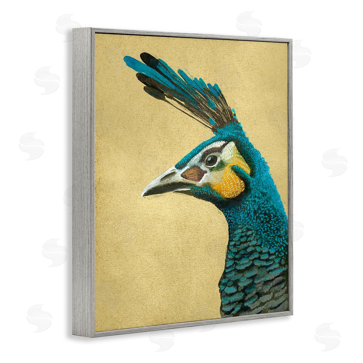 Katie O'Shea Peacock Looking Left Gray Framed Giclee Wall Artside_