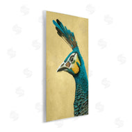 Katie O'Shea | Peacock Looking Left