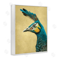 Katie O'Shea | Peacock Looking Left