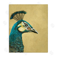 Katie O'Shea | Peacock Looking Right