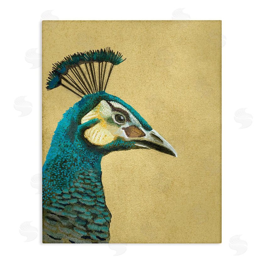 Katie O'Shea | Peacock Looking Right